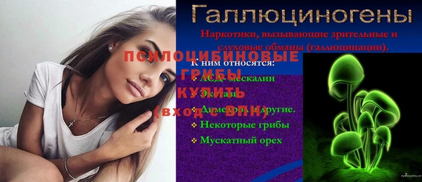 тгк Алзамай