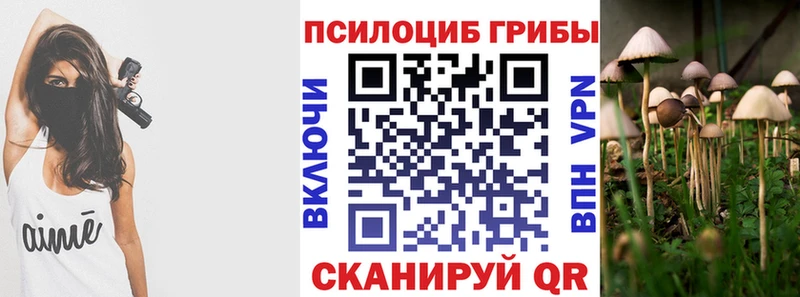 Псилоцибиновые грибы MAGIC MUSHROOMS  маркетплейс клад  blacksprut сайт  Набережные Челны  купить наркотики сайты 